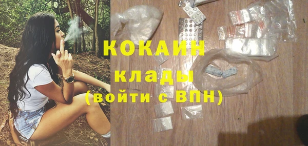 дживик Тайга