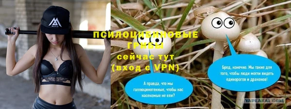 гашик Заволжье