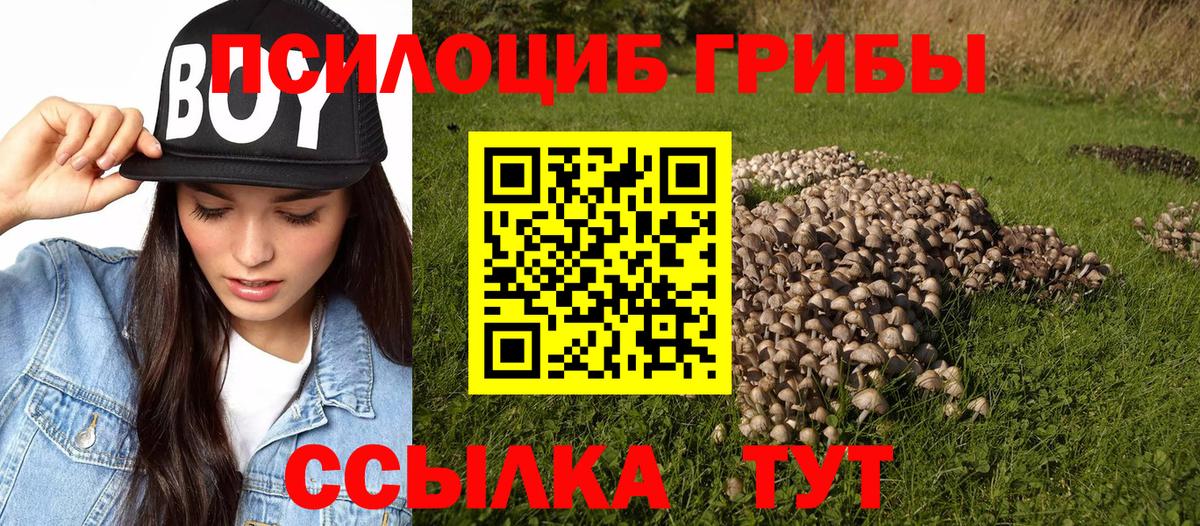 Великий Устюг  Псилоцибиновые грибы MAGIC MUSHROOMS  как найти   Вход с VPN 