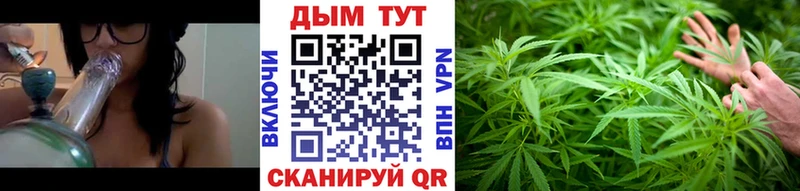 Шишки марихуана Ganja Великий Устюг