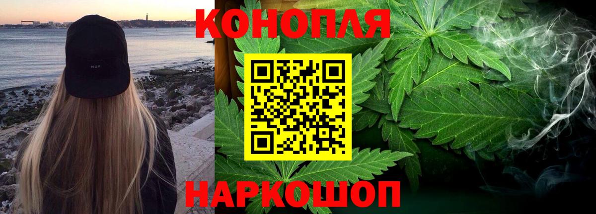 Бошки Шишки тримм  Вход с VPN  Бошки Шишки OG Kush  Конопля OG Kush  Великий Устюг 